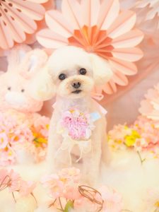 1BC43CD1-4F9B-4DB5-9F30-61247A64DED9