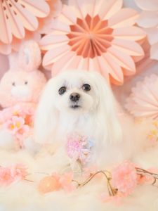 38564F71-4ADD-4A41-AF1D-D7783DCDC714
