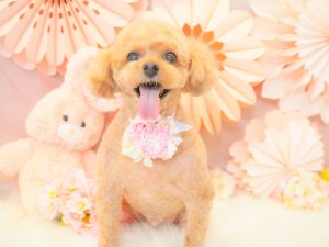 53BCA266-B2BC-40A6-BDA7-C4E7BF59DDEB