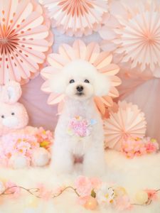 74FD27D6-FE87-4853-95FD-A7FF167958D0
