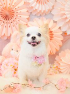 80DB00EC-46A9-4996-B309-5C44A54B4EA5