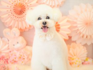 97D250C5-CF91-481B-A2C1-D9456E76DCBA