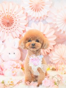 98B12FEB-A775-423C-9481-CF14CD15022F