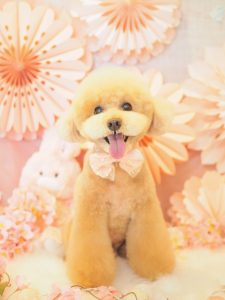 A7A4DEAE-58BC-4FD0-BC68-7D90E7625290
