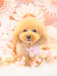 A8D024CB-4528-417A-82E7-F7804BD90AC1
