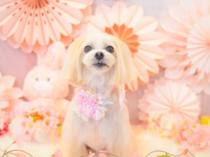 BCA3CF77-3747-414B-A1EB-53AD4A53B741