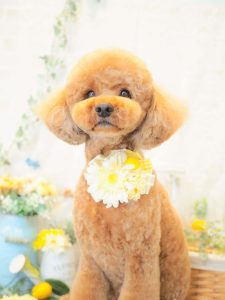 52D6F264-80A4-4F8D-8B1F-231DB0FAB6E6