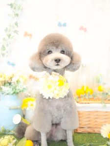 57C16729-D293-4478-B7F7-C23A72473548