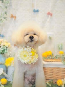 5B636097-39A7-4AAC-B175-008F650E431D
