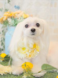 659EB5AE-0692-4925-A096-EB396DDB38D8