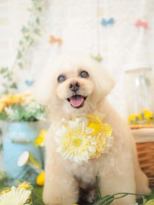6709661F-4A43-43C1-9A2F-500D3BE2556F