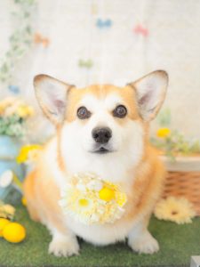 78B44C17-FA64-4305-860F-505FA2551301