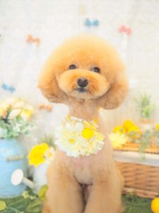A888D784-7347-4A44-AAB6-6FAE1EBBEE1D