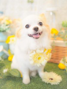 D55D1149-30C7-4565-A9EA-CA9FE7AC6AF6