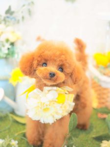 128E3051-D78C-464D-BD7B-B062B43CD9DE
