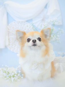 空ちゃん