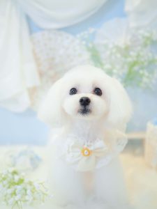 6DB3A0B1-BE5D-4402-B597-FD1A95EE804F