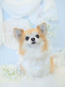 6FF1014D-EF55-4F8F-8464-A65EB1B450FB