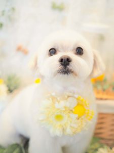 A6208F2F-7BD2-4855-B826-540816A1C9C3