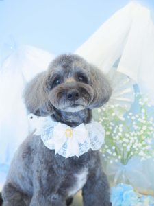 C5D67939-1BD1-4560-9F21-DC83E145237C