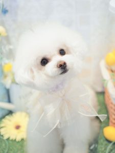 E72C2344-D704-4CC4-B5CB-04056BC6CCAA
