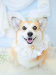 ぽのちゃん
