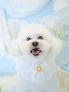 はるくん