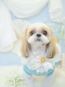 05438CCC-3272-41E5-AE11-62A08BC3615B