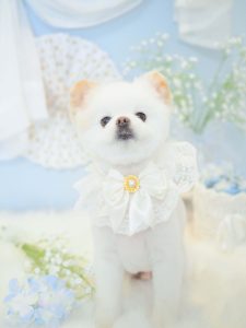 055A445E-8637-4112-98BC-5DEC931F0628