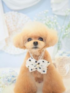 05D6E0EF-6973-473C-A3FB-C4DE3D2CAEEB