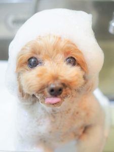 2384EF58-2293-4098-8D1F-F460E79B2354