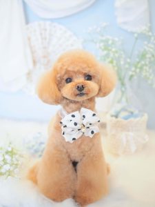 2AF1CE76-FA7C-4547-8C1D-EA489D8AA0F6