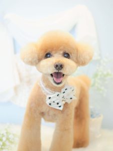 51945ECE-4CC7-4F70-A13A-010C550A9E2E