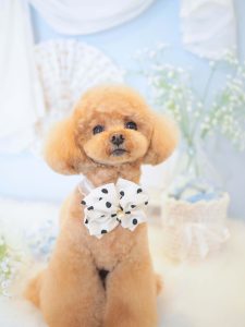 581AABA5-347F-41A8-B671-2D22811102E8