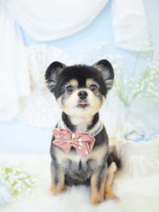 674A95F0-96B5-4E43-898E-733D4849F51F