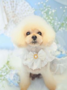 6F446613-7D28-4773-B969-1F6701F78941