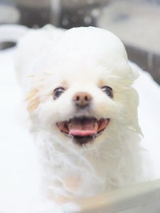 70AEF738-96F0-4E09-8A25-BB5E0AD83D10