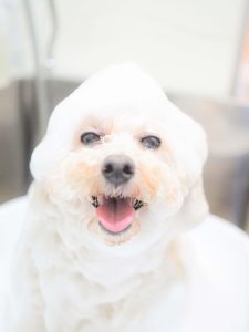 730F62E6-D811-463E-A858-601619A41EE0