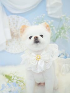 929808D4-509A-489C-8622-36253C4B3B8C