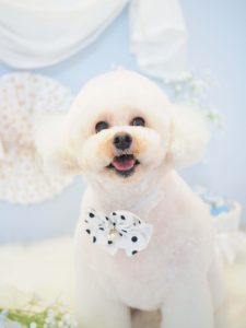 95350985-DC6E-48D9-8B14-6DB412734594