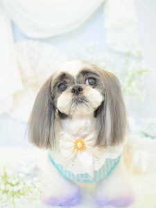 9E9869CF-CE23-44D7-BD4B-F64D11E73D28