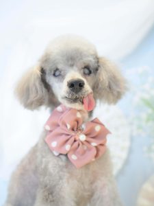 B0E14B82-F8C9-4A2F-8549-08A5BE8689BF