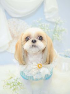 B93DF8CE-21EF-4633-B49C-376E8FB57EE3