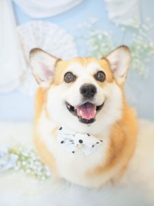 C2EBBAC4-2E0D-4DB3-8F09-198EB98B533B