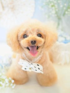 C9449AA6-A72F-4171-A991-A5C48FE30104