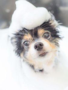 CCFD91BC-F55E-4E85-83DC-40EF327F62AD